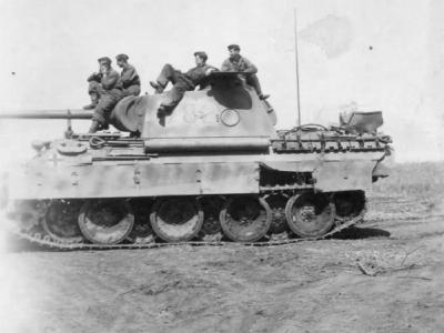 Panther ausf D number 732