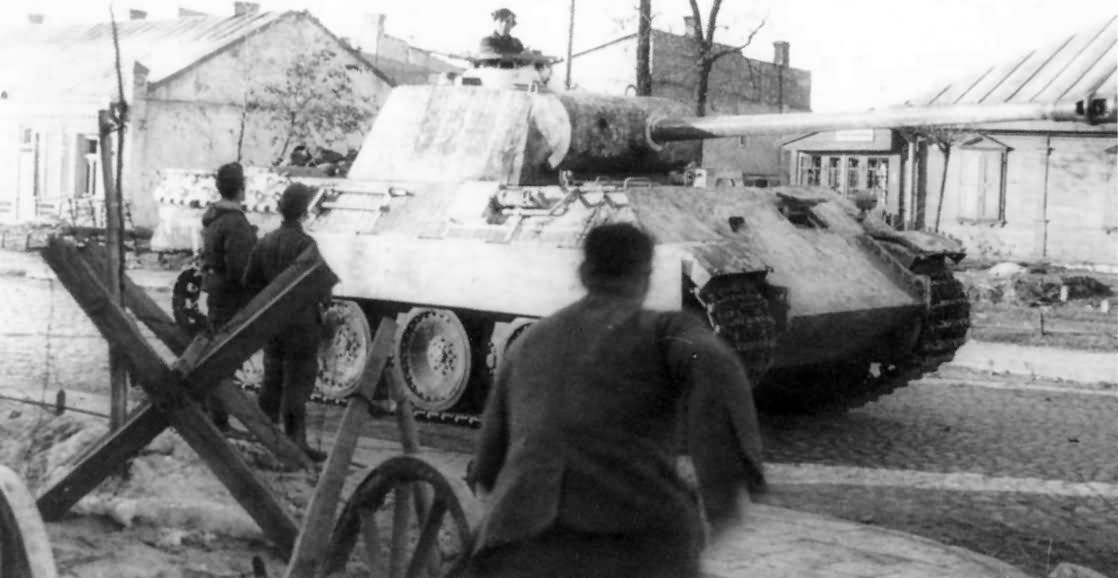 Panther of 5 Waffen SS Panzer Division Wiking Kowel 1944