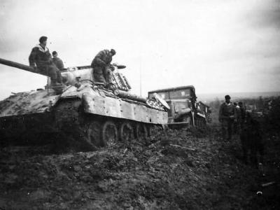 Panther tank in mud