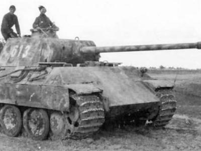 Panther tank number 613