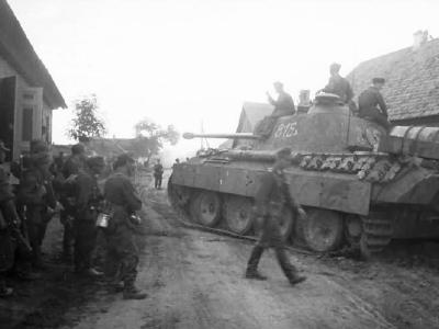 Panther tank number 815