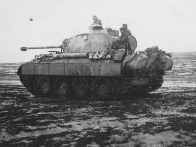 Panther tank winter