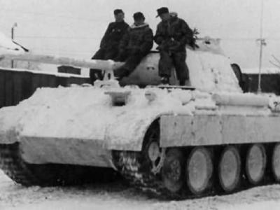 Panther winter camo