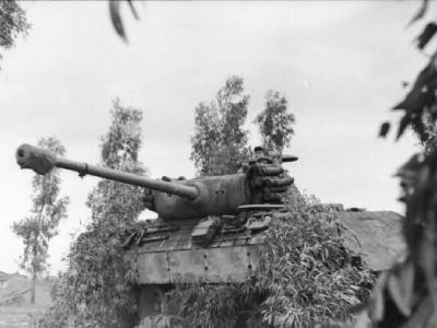 Panzer V Panther Italy 3
