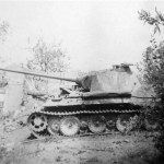 Panther tank Panzerkampfwagen V | World War Photos