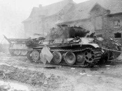 Knocked- out Panthers Battle of the Bulge