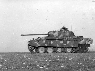 Panther code 107