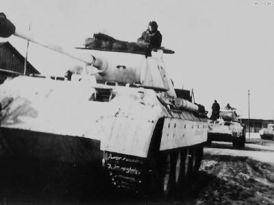 Early Panther 18