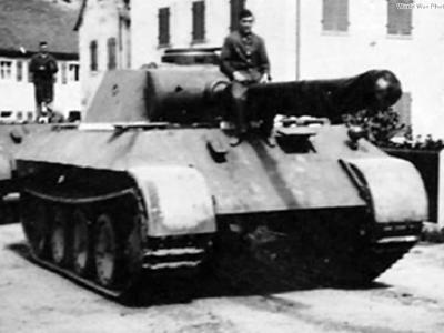 Early Panther 19