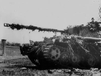 Panther 200