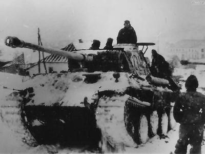 Panther Ausf D 224