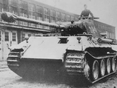 Panther 324 2