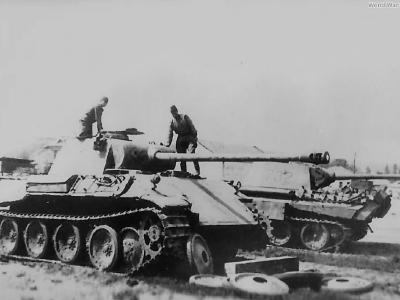 Captured Panther 732, 1943