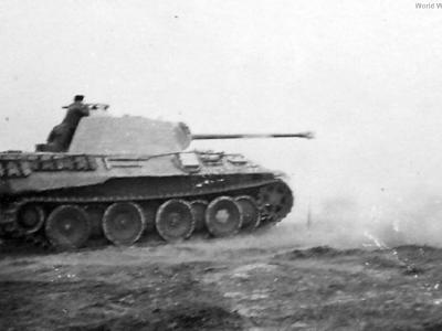 Panther part 3