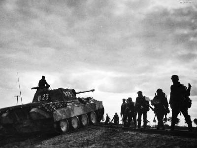 Panther Ausf A code 823 of the 5. SS-Panzerdivision „Wiking”