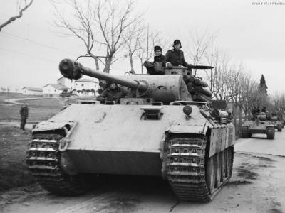 Panther D Nettuno 1944