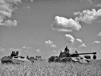 Panther Ausf A 533 and SdKfz 251 of the 5th SS Panzer Division Wiking