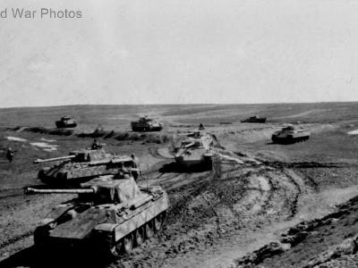 Panthers of the 5.SS-Panzer-Division „Wiking” August 1944