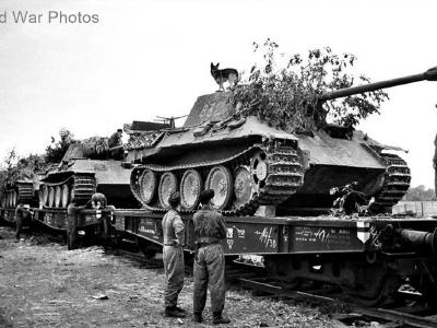 Panthers of the 5.SS-Panzer-Division Wiking