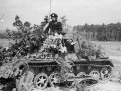 Panzer I befehl camouflaged