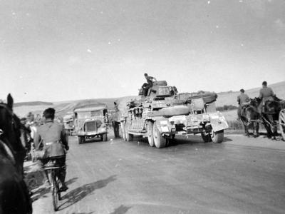 Panzer III tactical number 213 on trailer