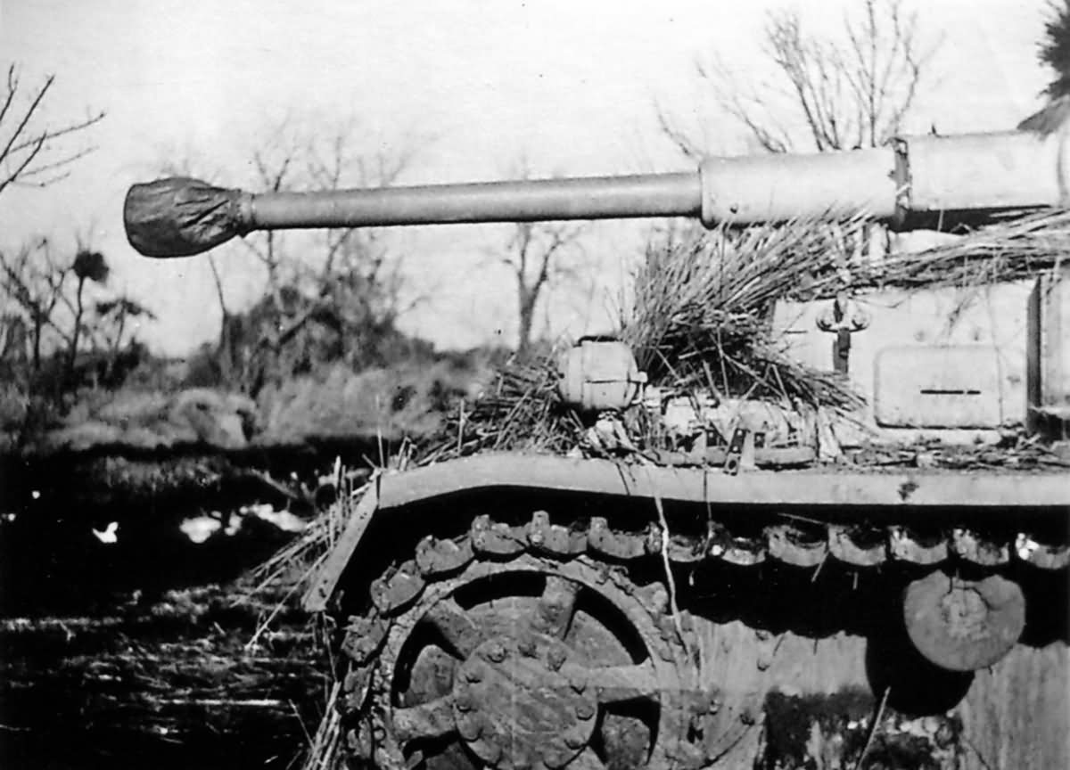 Panzer IV Ausf G Tank | World War Photos