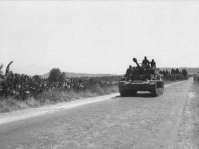 Italy Panzer IV 4