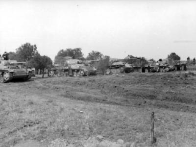 German tanks in field, Italy 1944