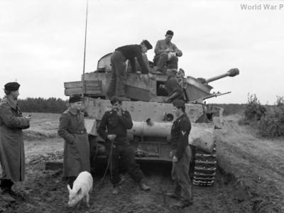 Panzer IV 3PzDiv
