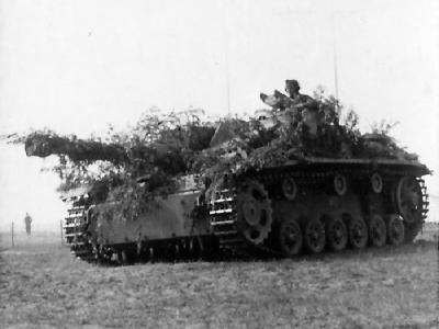 Camouflaged StuG 40