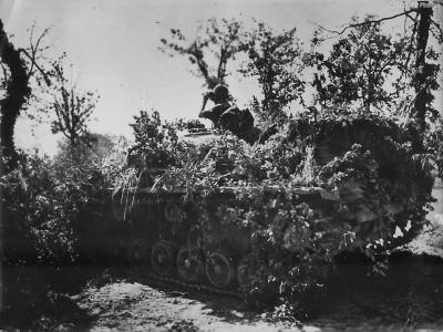 Camouflaged StuG Ausf G on Italian Front