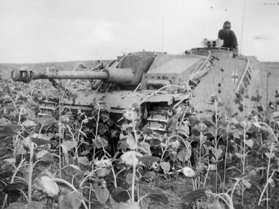 StuG 40 305 of the Sturmgeschutz-Abteilung 282, 1943 2