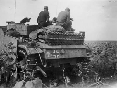 StuG 40 „305” from Sturmgeschutz Abteilung 282, 1943