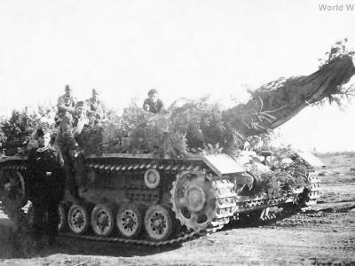StuG 40 F8 GD Division