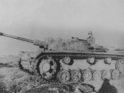 Sturmgeschutz Ausf F number 274