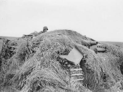 Camouflaged Sturmgeschutz StuG III