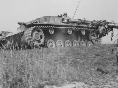 Sturmgeschütz III Ausf B of the Stug Abt. 243