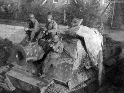Sturmtiger 250174