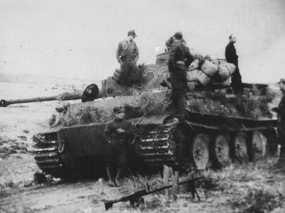 Panzer VI Tiger 501 122 Tunisia Afrikakorps