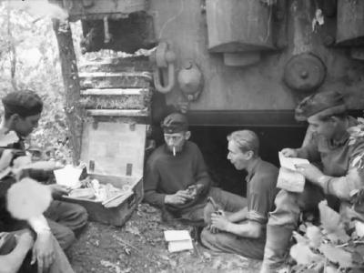 Tiger of the Schwere Panzer Abteilung 503 Eastern front