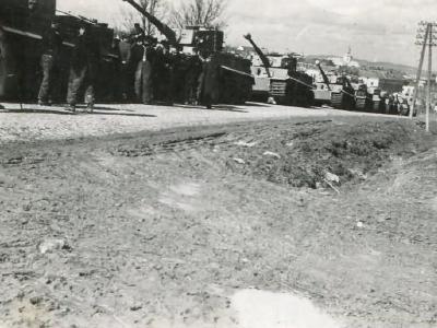 A column of Tigers in Russia 1943