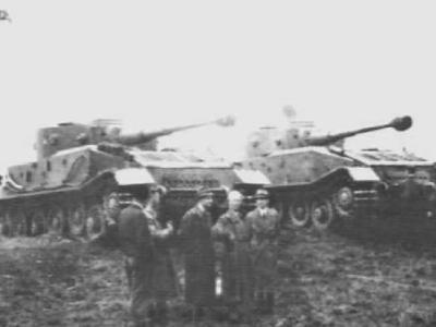 Porsche Tiger (P)