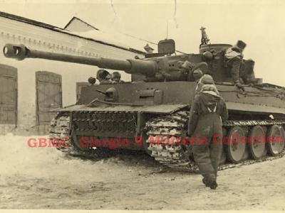 Tiger I eastern front Achtyrka