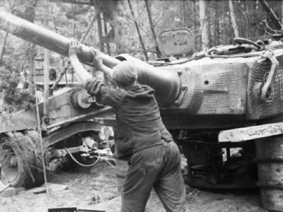 Tiger with zimmerit