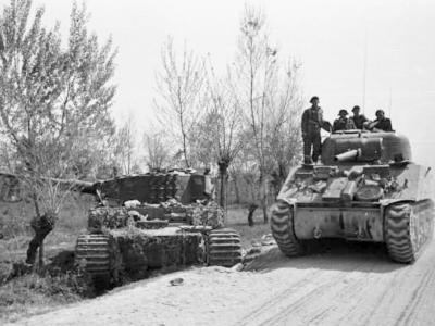 Tiger 332 of the schwere Panzer-Abteilung 504 and Sherman tank, Italy 1945