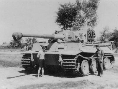 Tiger part 1