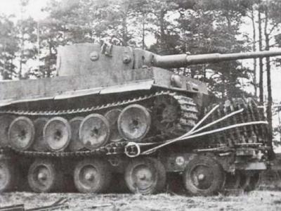 Tiger on trailer 2