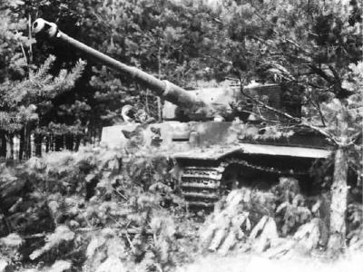 Tiger panzer VI 11