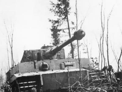 Panzer VI Tiger „3” of the schwere Panzer-Abteilung 502, Eastern Front