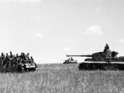 Tigers of the schwere Panzer-Kompanie / SS-Panzerregiment 2 „Das Reich” and StuG during the Battle of Kursk